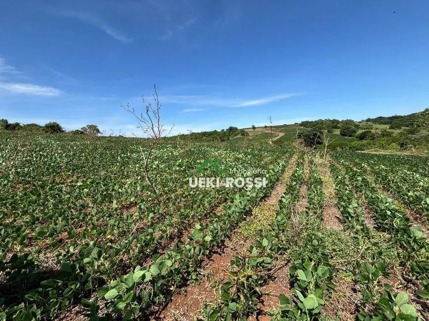 Foto 7 de Sítio / Rancho à venda, 387200m2 em Bela Vista Do Paraiso - PR
