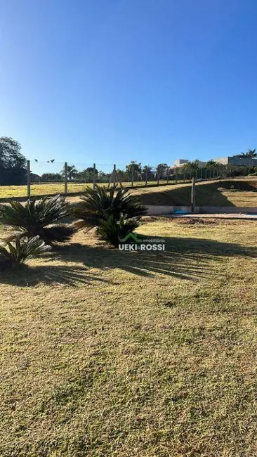 Terreno / Lote à venda, 2500m2 em Cambe - PR - imagem 4 Foto 4 de Terreno / Lote à venda, 2500m2 em Cambe - PR