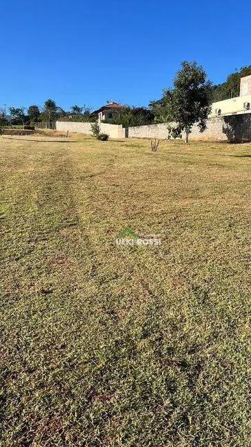 Terreno / Lote à venda, 2500m2 em Cambe - PR - imagem 6 Foto 6 de Terreno / Lote à venda, 2500m2 em Cambe - PR