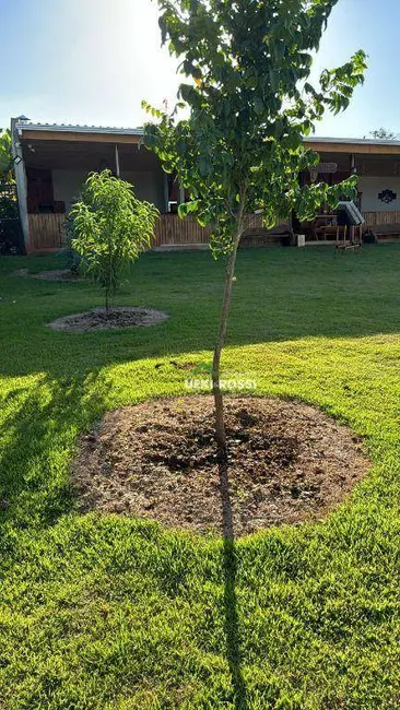 Chácara à venda, 1000m2 em Conjunto Habitacional Jamile Dequech, Londrina - PR - imagem 9 Foto 9 de Chácara à venda, 1000m2 em Conjunto Habitacional Jamile Dequech, Londrina - PR