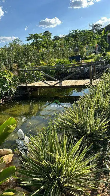 Chácara à venda, 1000m2 em Conjunto Habitacional Jamile Dequech, Londrina - PR - imagem 5 Foto 5 de Chácara à venda, 1000m2 em Conjunto Habitacional Jamile Dequech, Londrina - PR