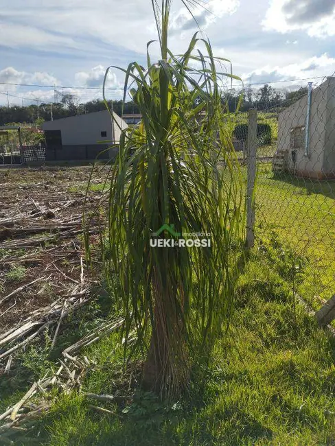 Chácara à venda, 1000m2 em Londrina - PR - imagem 8 Foto 8 de Chácara à venda, 1000m2 em Londrina - PR