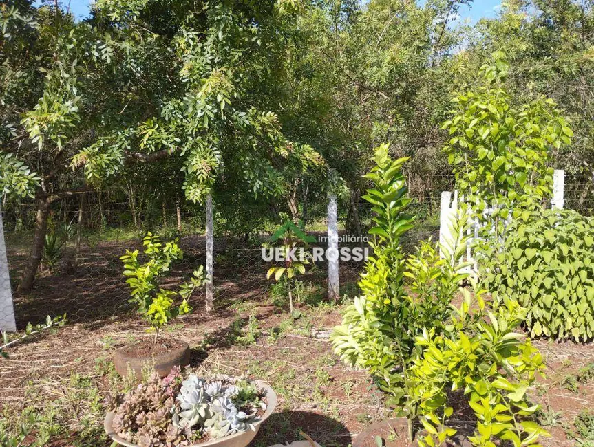 Chácara à venda, 1000m2 em Londrina - PR - imagem 6 Foto 6 de Chácara à venda, 1000m2 em Londrina - PR