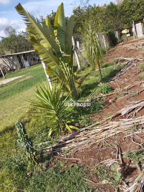 Foto 12 de Chácara à venda, 1000m2 em Londrina - PR