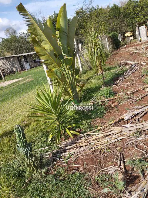 Chácara à venda, 1000m2 em Londrina - PR - imagem 9 Foto 9 de Chácara à venda, 1000m2 em Londrina - PR