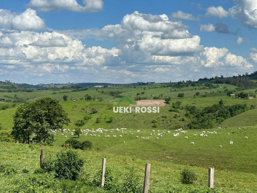 Foto 9 de Fazenda / Haras à venda, 2299000m2 em Centro, Rosario Do Ivai - PR