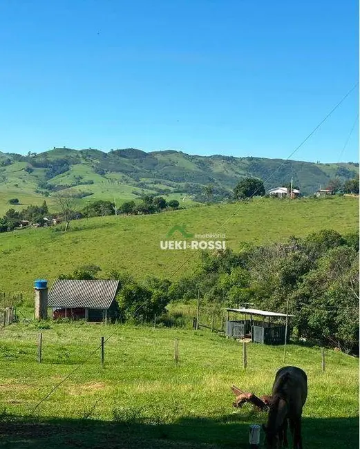 Foto 3 de Fazenda / Haras à venda, 2299000m2 em Centro, Rosario Do Ivai - PR
