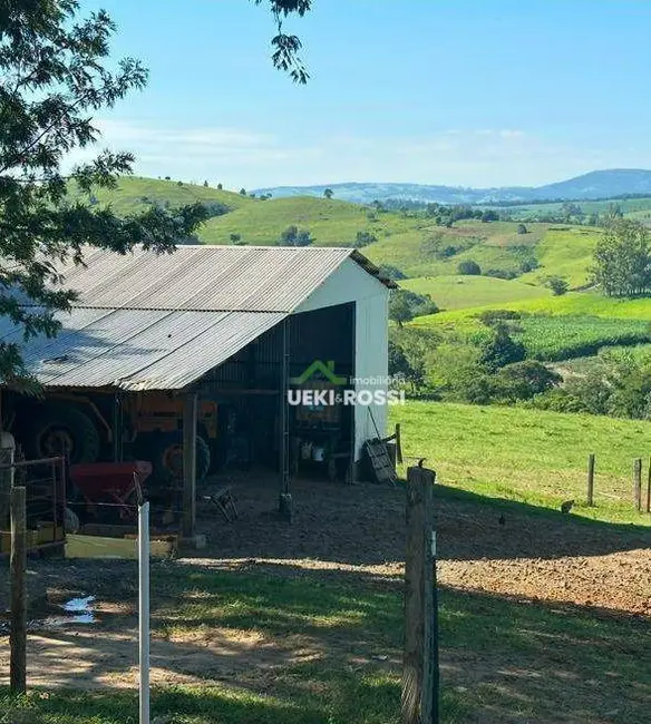 Foto 4 de Fazenda / Haras à venda, 2299000m2 em Centro, Rosario Do Ivai - PR