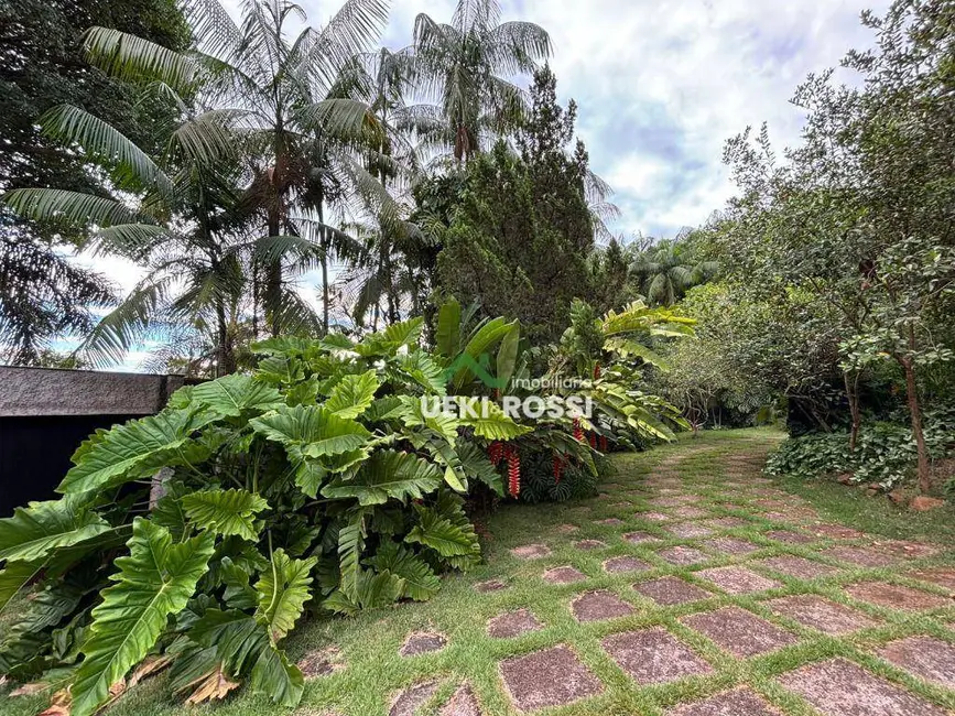 Chácara com 3 quartos à venda, 3000m2 em Londrina - PR - imagem 8 Foto 8 de Chácara com 3 quartos à venda, 3000m2 em Londrina - PR