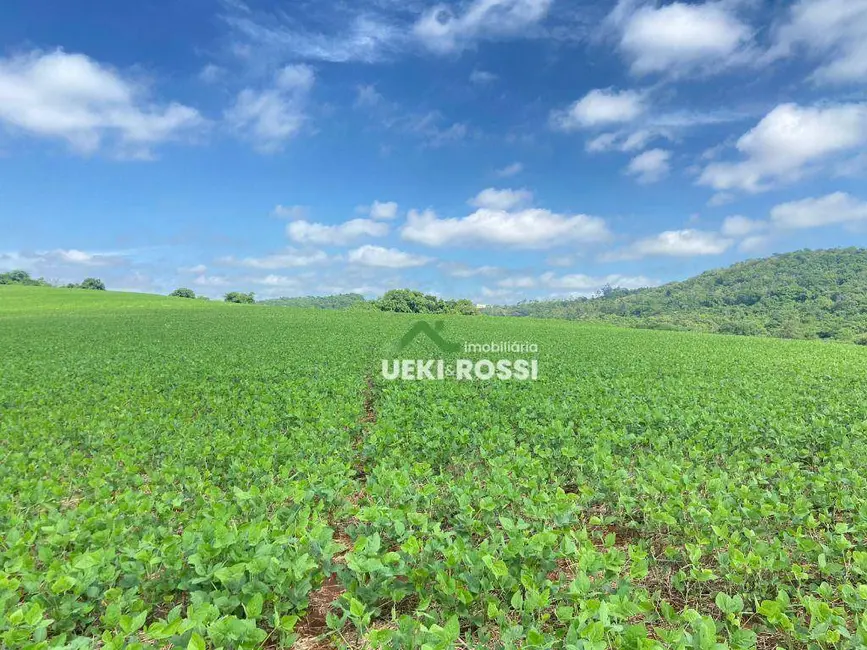 Foto 1 de Sítio / Rancho à venda, 169400m2 em Londrina - PR