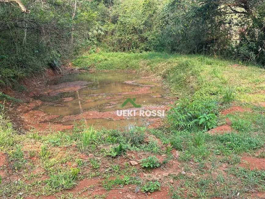 Sítio / Rancho com 2 quartos à venda, 11000m2 em Londrina - PR - imagem 6 Foto 6 de Sítio / Rancho com 2 quartos à venda, 11000m2 em Londrina - PR