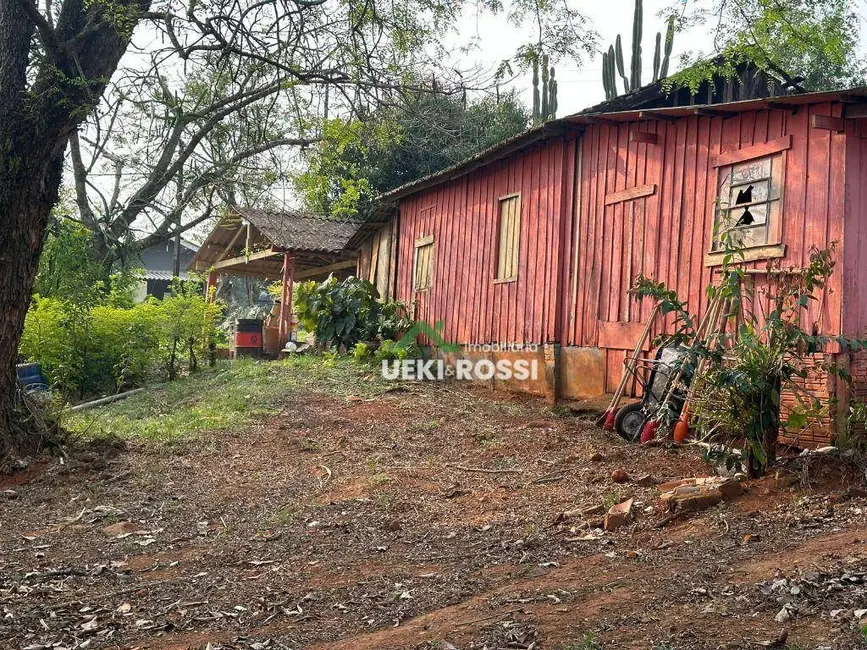 Sítio / Rancho com 2 quartos à venda, 11000m2 em Londrina - PR - imagem 3 Foto 3 de Sítio / Rancho com 2 quartos à venda, 11000m2 em Londrina - PR