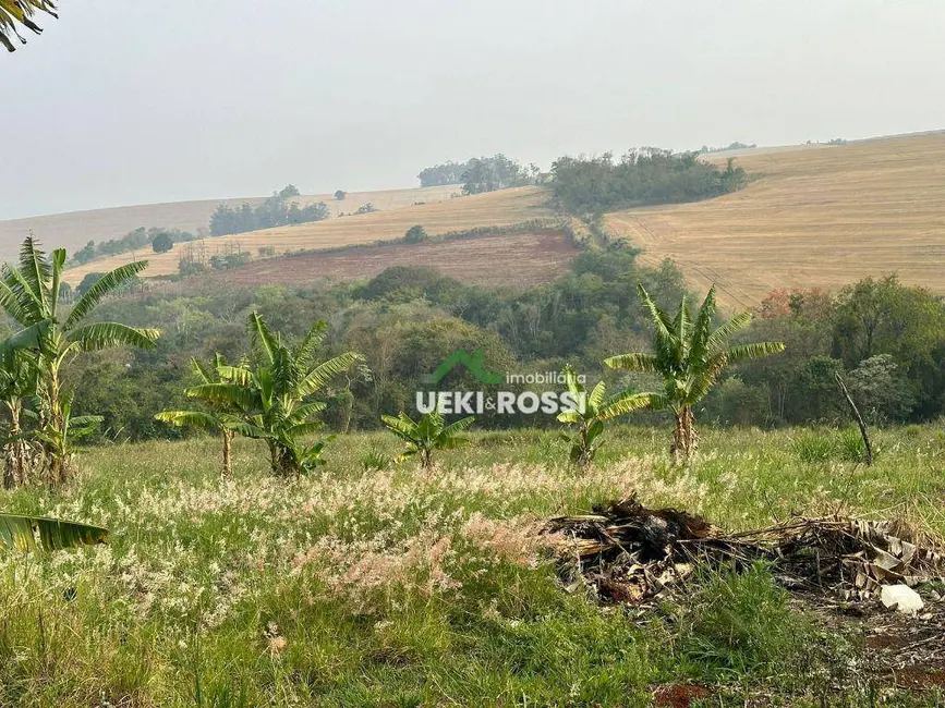 Foto 1 de Sítio / Rancho com 2 quartos à venda, 11000m2 em Londrina - PR