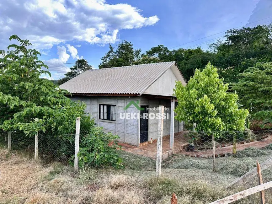 Chácara com 3 quartos à venda, 46500m2 em Cafezal, Londrina - PR - imagem 7 Foto 7 de Chácara com 3 quartos à venda, 46500m2 em Cafezal, Londrina - PR