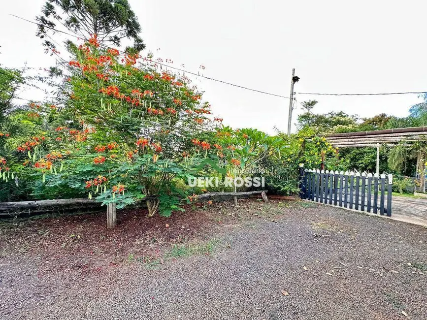 Chácara com 3 quartos à venda, 46500m2 em Cafezal, Londrina - PR - imagem 5 Foto 5 de Chácara com 3 quartos à venda, 46500m2 em Cafezal, Londrina - PR