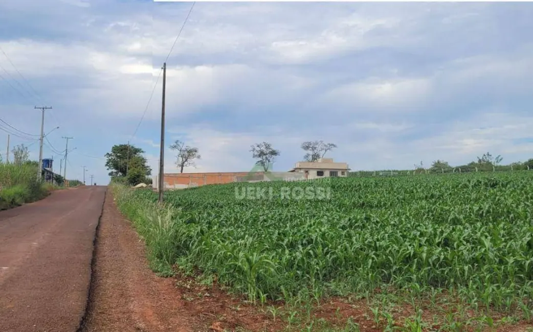 Foto 3 de Chácara à venda, 2000m2 em Limoeiro, Londrina - PR
