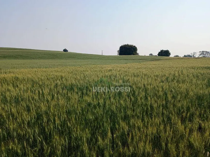 Foto 1 de Sítio / Rancho à venda, 459800m2 em Londrina - PR