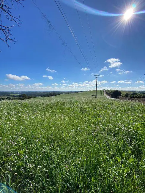 Foto 1 de Sítio / Rancho à venda, 484000m2 em Centro, Apucarana - PR