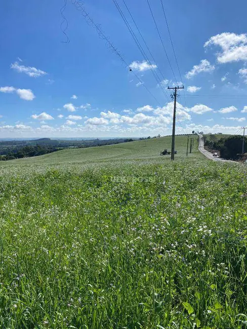 Sítio / Rancho à venda, 484000m2 em Centro, Apucarana - PR - imagem 3 Foto 3 de Sítio / Rancho à venda, 484000m2 em Centro, Apucarana - PR