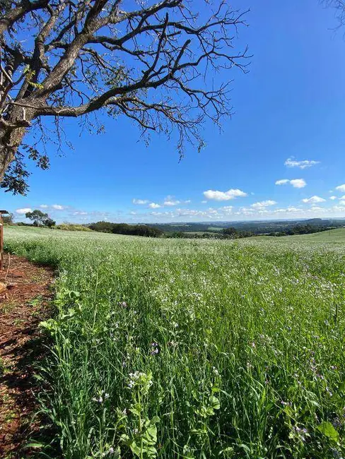 Foto 2 de Sítio / Rancho à venda, 484000m2 em Centro, Apucarana - PR