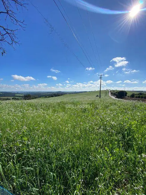 Sítio / Rancho à venda, 484000m2 em Centro, Apucarana - PR - imagem 4 Foto 4 de Sítio / Rancho à venda, 484000m2 em Centro, Apucarana - PR