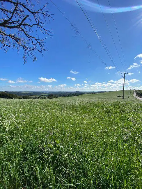 Sítio / Rancho à venda, 484000m2 em Centro, Apucarana - PR - imagem 5 Foto 5 de Sítio / Rancho à venda, 484000m2 em Centro, Apucarana - PR
