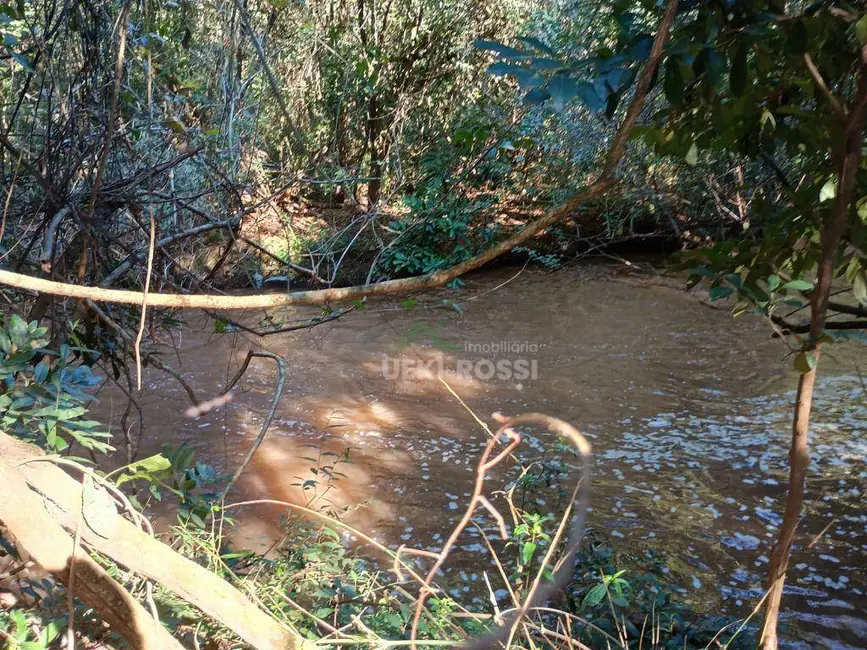 Foto 10 de Chácara à venda, 30000m2 em Limoeiro, Londrina - PR
