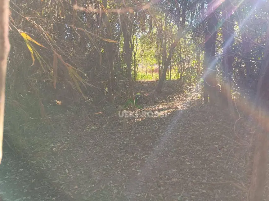 Foto 8 de Chácara à venda, 30000m2 em Limoeiro, Londrina - PR