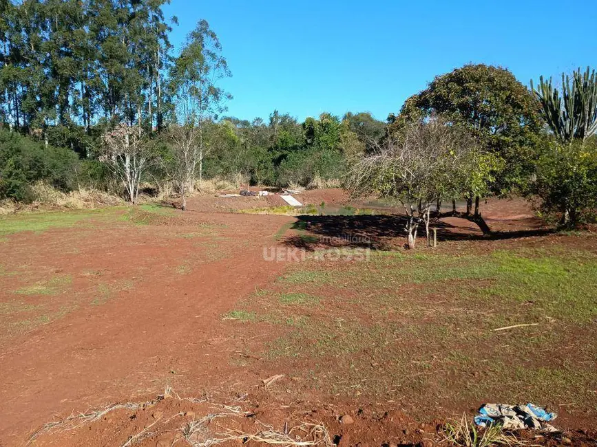 Foto 18 de Chácara à venda, 30000m2 em Limoeiro, Londrina - PR