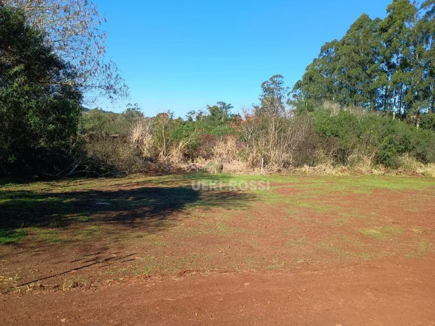 Foto 22 de Chácara à venda, 30000m2 em Limoeiro, Londrina - PR