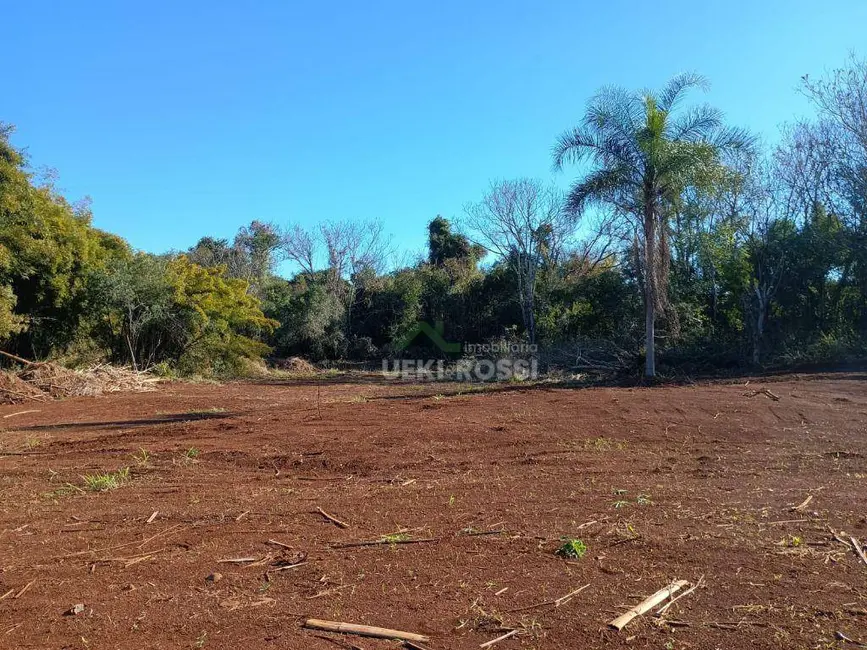 Foto 9 de Chácara à venda, 30000m2 em Limoeiro, Londrina - PR