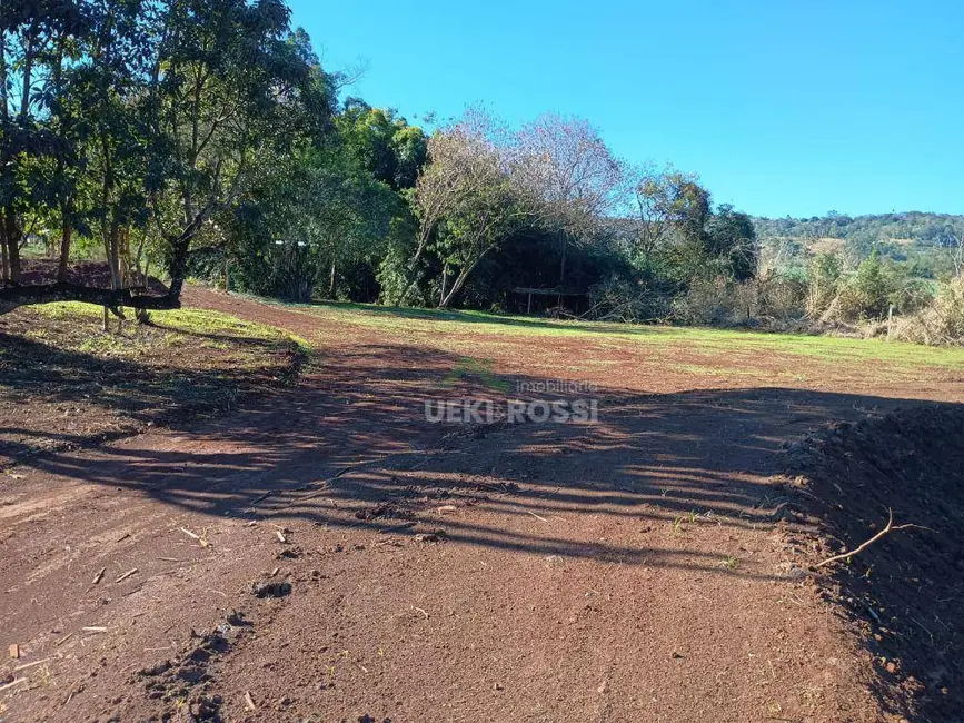 Foto 1 de Chácara à venda, 30000m2 em Limoeiro, Londrina - PR