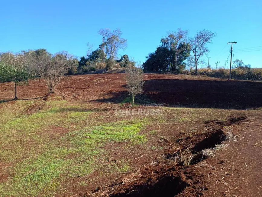 Foto 16 de Chácara à venda, 30000m2 em Limoeiro, Londrina - PR