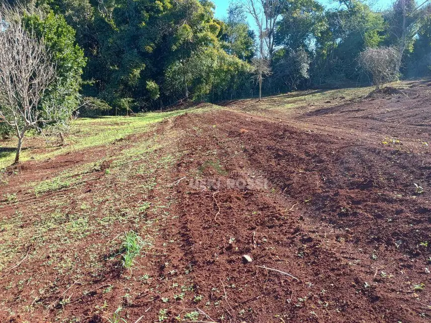 Foto 25 de Chácara à venda, 30000m2 em Limoeiro, Londrina - PR