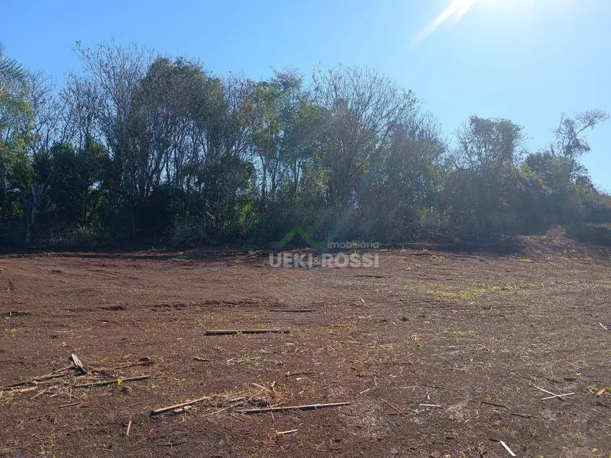 Foto 6 de Chácara à venda, 30000m2 em Limoeiro, Londrina - PR