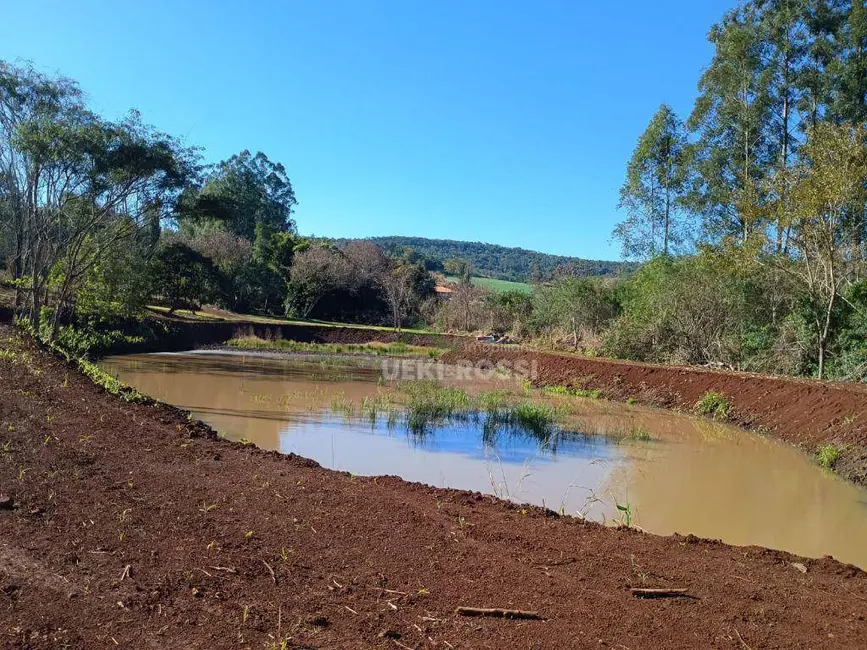 Foto 4 de Chácara à venda, 30000m2 em Limoeiro, Londrina - PR
