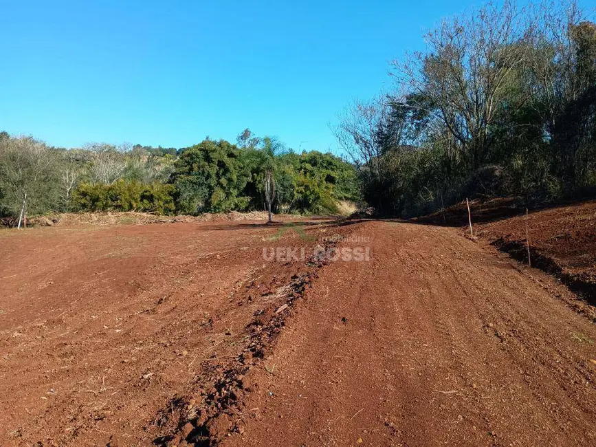 Foto 17 de Chácara à venda, 30000m2 em Limoeiro, Londrina - PR