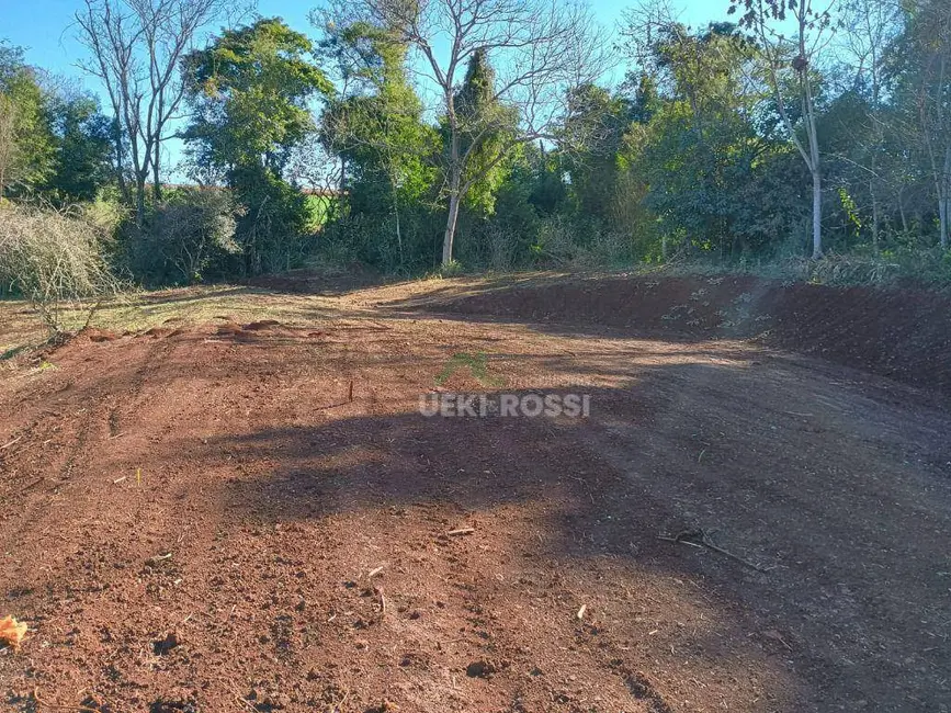 Foto 19 de Chácara à venda, 30000m2 em Limoeiro, Londrina - PR