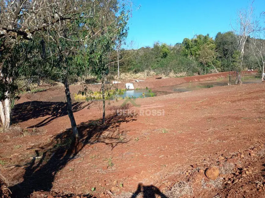 Foto 15 de Chácara à venda, 30000m2 em Limoeiro, Londrina - PR
