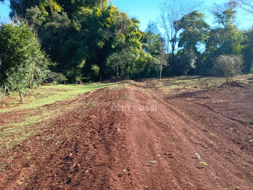 Foto 20 de Chácara à venda, 30000m2 em Limoeiro, Londrina - PR