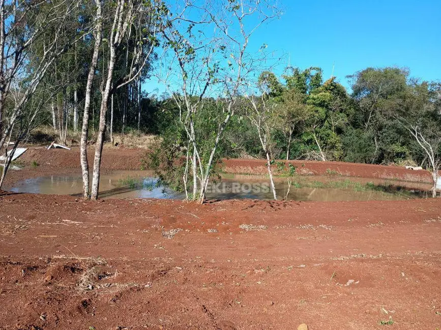Foto 14 de Chácara à venda, 30000m2 em Limoeiro, Londrina - PR