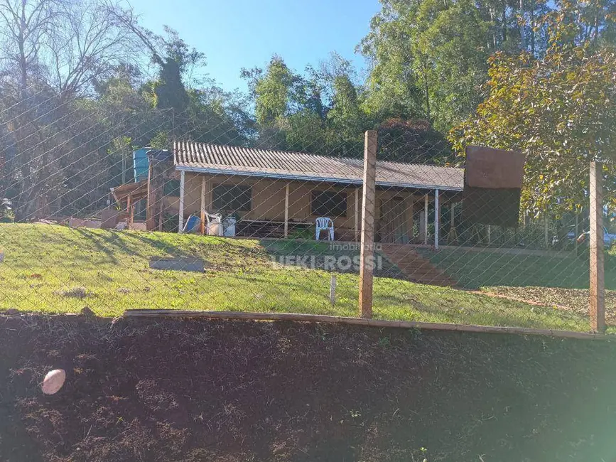 Foto 29 de Chácara à venda, 30000m2 em Limoeiro, Londrina - PR