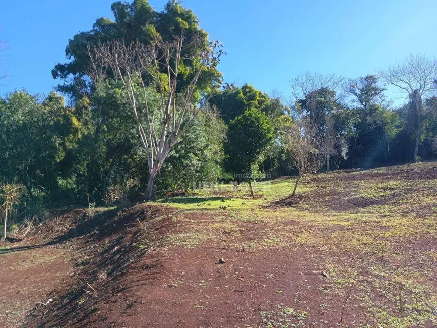Foto 30 de Chácara à venda, 30000m2 em Limoeiro, Londrina - PR