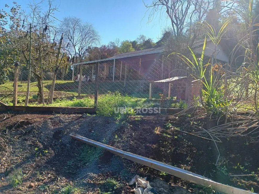 Foto 32 de Chácara à venda, 30000m2 em Limoeiro, Londrina - PR