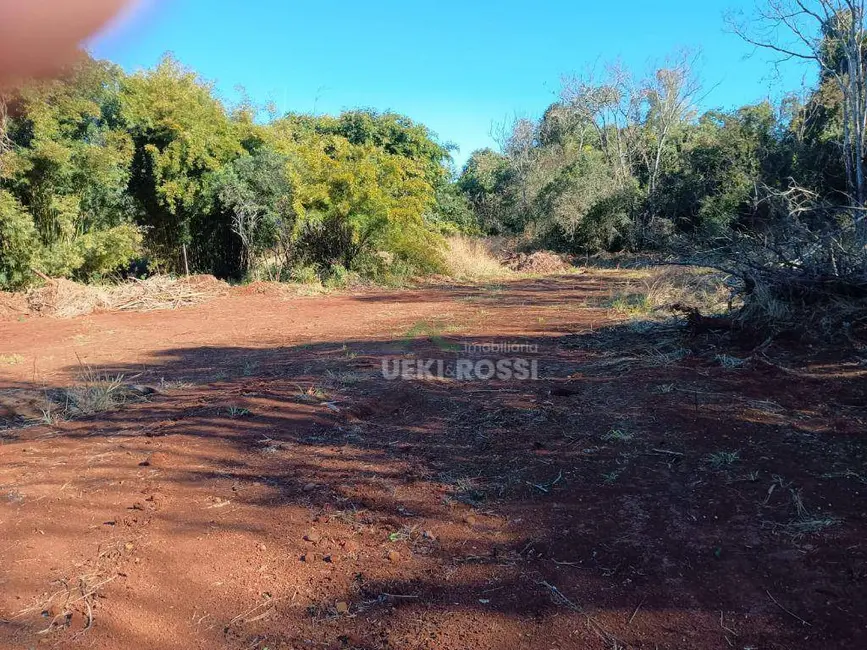 Foto 12 de Chácara à venda, 30000m2 em Limoeiro, Londrina - PR