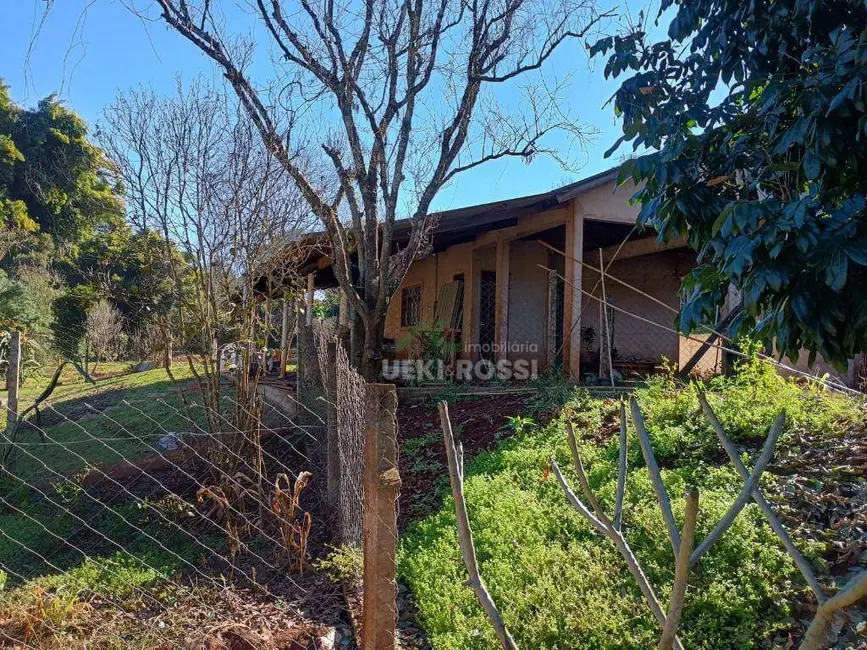 Foto 38 de Chácara à venda, 30000m2 em Limoeiro, Londrina - PR