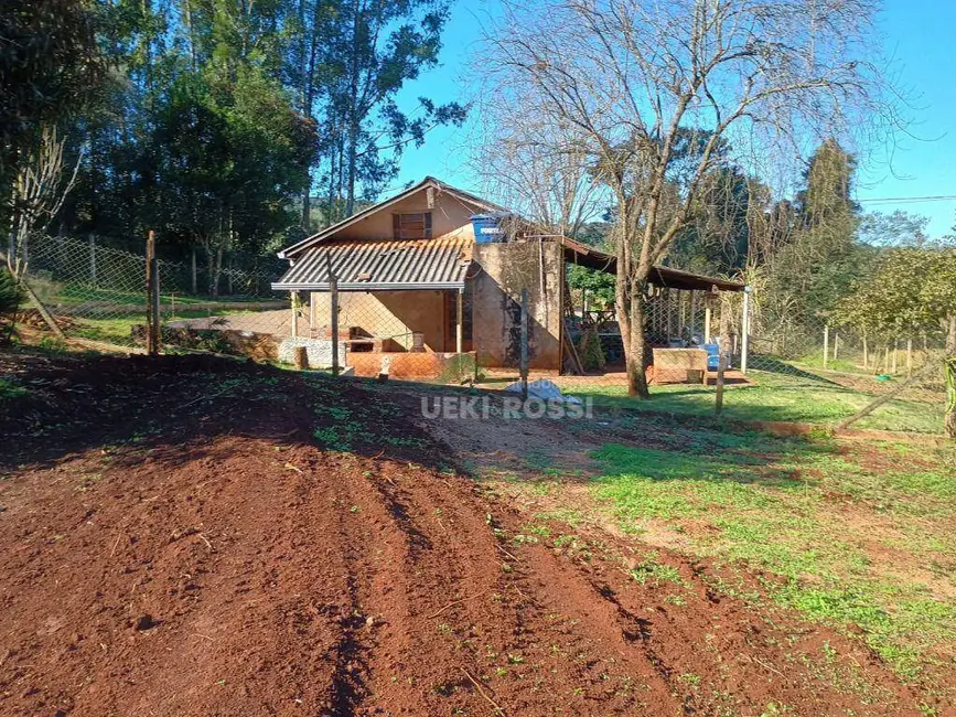 Foto 23 de Chácara à venda, 30000m2 em Limoeiro, Londrina - PR