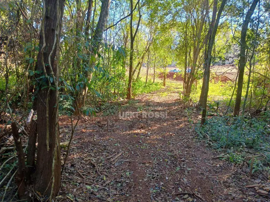 Foto 7 de Chácara à venda, 30000m2 em Limoeiro, Londrina - PR