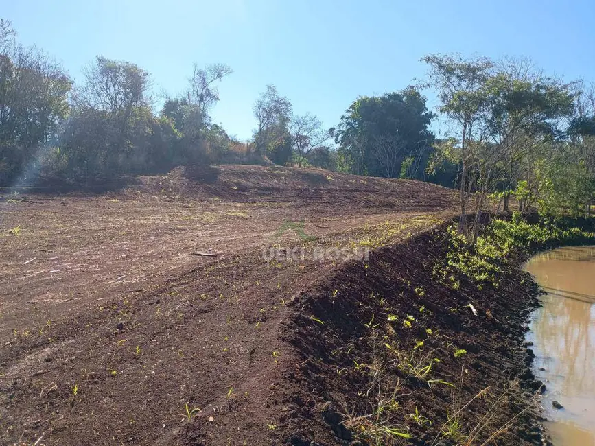 Foto 11 de Chácara à venda, 30000m2 em Limoeiro, Londrina - PR