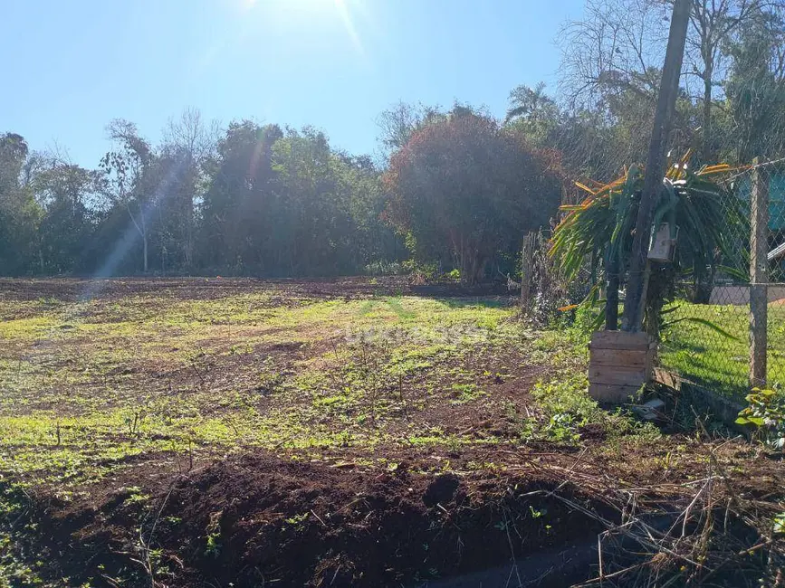 Foto 28 de Chácara à venda, 30000m2 em Limoeiro, Londrina - PR